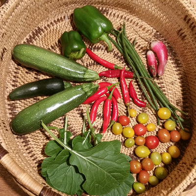 Tips for starting vegetables from seeds